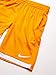Nike Kids Boy's Dry Training Short (Big Kids)