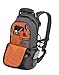 SWISSGEAR 1651 City Backpack (Blue/Grey)