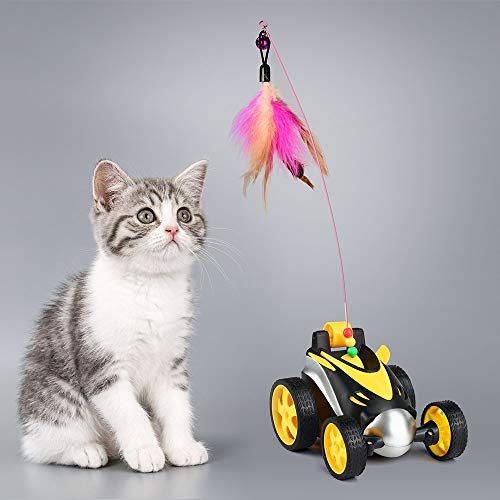 cat remote control car