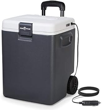 rockpals cooler
