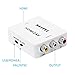 HDMI Converter,NUTK 1080P HDMI to AV 3RCA CVBs Composite Video Audio Converter Adapter Supporting PAL/NTSC with USB Charge Cable for PC Laptop Xbox PS4 PS3