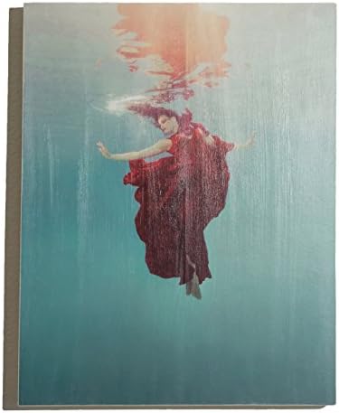 "Phoenix Rising" Underwater Photography on Wood Panel
