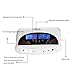 Lofan Dual Ionic Ion Detox Foot Bath Spa Machine Chi Cleanse Foot Detoxification Machine System with Far Infrared Ray Belt Large LCD-110V for Two People Use