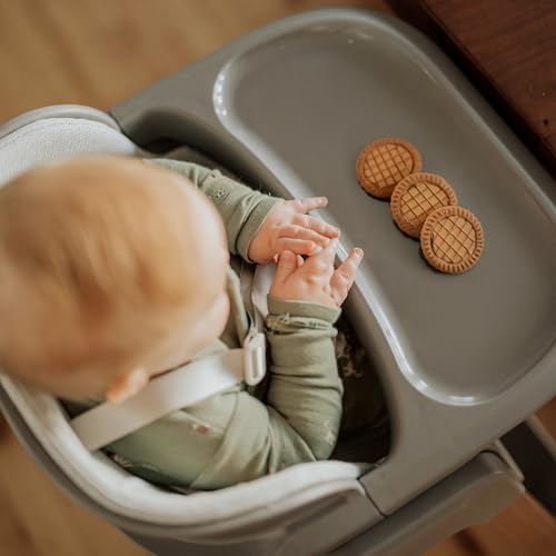 Fodoss Baby High Chair, Foldable Convertible, 5-Point Harness, Easy Clean Wood-Printed Metal Frame with Removable Tray, for Family (Gray & Walnut Wood-Printed Metal)