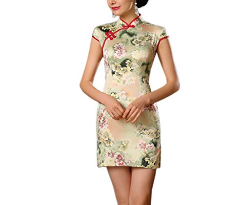 XueXian(TM) Women's Summer China Silk Cheongsam Qipao Short Party Dress