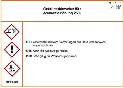 Amoniaco solución 25% 10 L: Amazon.es: Salud y cuidado personal