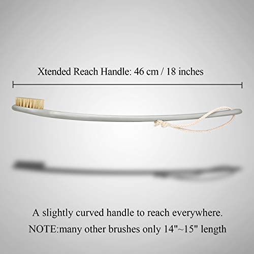 Body Brush for Dry or Wet Brushing,Stiff Bristles for Dry Skin Body Exfoliator,Shower and Bath Scrubber for Wash Brushing, Exfoliating,Leg Exfoliant Massage Plastic Long Handle (Grey)