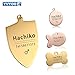 YVYOO Custom Dog Collar Stainless Steel Dog cat tag Free Engraving Pet Dog Collar Accessories ID tag Name Telephone Personalized (Golden Bone, M)