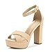DREAM PAIRS Women's Hi-Go High Heel Platform Pump Sandals