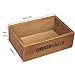 Vtete 7.5 Inch Succulent Plant Container Box with 4 Pcs Faux Plants and 30 Pcs Miniature Fairy Ornament DIY Kit