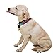 SCENEREAL Large Dog Collar Bell for Training, Hiking, Walking, Hunting(Bear Bell, Cow Bell)