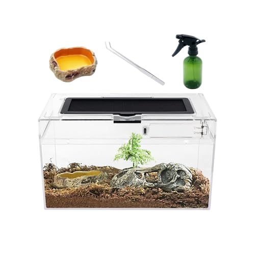 Reptile Growth Mini Terrarium Set