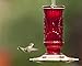More Birds Red Vintage Hummingbird Feeder, Antique Glass Hummingbird Feeders for Outdoors, 5 Feeding Stations, 20 Ounces