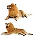 WAPIKE Lion Dog Mane, Turn Your Dog Into A Strong Lion, Big Pet Dog Lion Mane Wig, Tail, Festive Party Gorgeous Costume (Light Brown)
