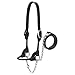 Weaver Leather Livestock Dairy/Beef Rounded Show Halter Black, Small