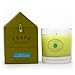 Trapp Large Poured Candle #13 Bob's Flower Shoppe (7 oz.)