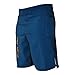 WOD MMA Spartan Performance Cross-Training Shorts (BLUE/FLAG, 38)