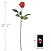 Leagel Artificial Rose Flowers,Fake Silk Bouquet for Wedding Party Baby Shower Home Decor DIY,Pack of 1 (1, Red)