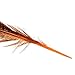 Celine lin 10PCS Natural Pheasant Feathers Pheasant Tails 14-16inch,Orange