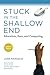 Stuck in the Shallow End: Education, Race, and Computing (The MIT Press)