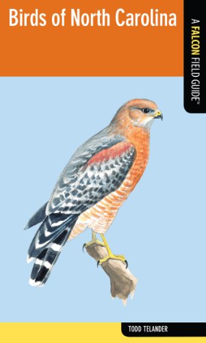 Birds Of North Carolina A Falcon Field Guide Falcon Field Guide Series