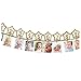 Baby's 1st Birthday Decorations- 12 Month Photo Banners,Wild One Birthday Banners,Wild One Cupcake Topper,the Wild One Party Supplies (wild one) (Gold)