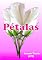Livro Pétalas: Poesia feminina