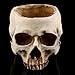 Resin Halloween Skull Head Flower Pot Planter Scene Decoration Candy Bowl