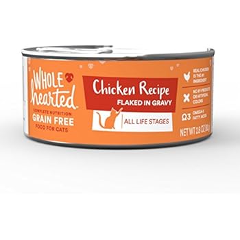 Amazon.com : WholeHearted All Life Stages Canned Cat Food ...