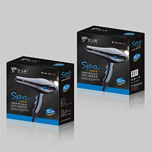 Startview 2200W Professional Hair Dryer Household Hairdryer Salon Nozzle Travel Beauty Kit (Black, Free)