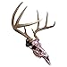Herron Outdoors P011103 Skull Hanger 3 Pack Mount, Black