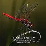 Dragonfly Calendar 2019: 16 Month Calendar by