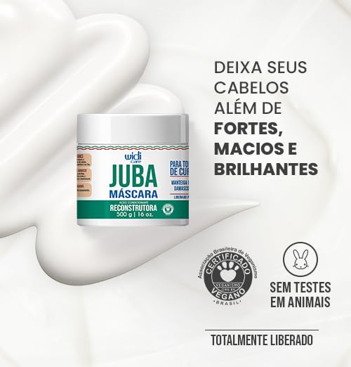 Widi Care Máscara de Tratamento Reconstrutora Juba 500g