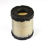 Briggs & Stratton 798897 Air Cleaner Cartridge Filter