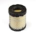Briggs & Stratton 798897 Air Cleaner Cartridge Filter