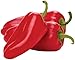 POPCORNERS Sweet Chili, Popped Corn Snacks, Gluten Free, Non -GMO, 1oz bags (Pack of 40)