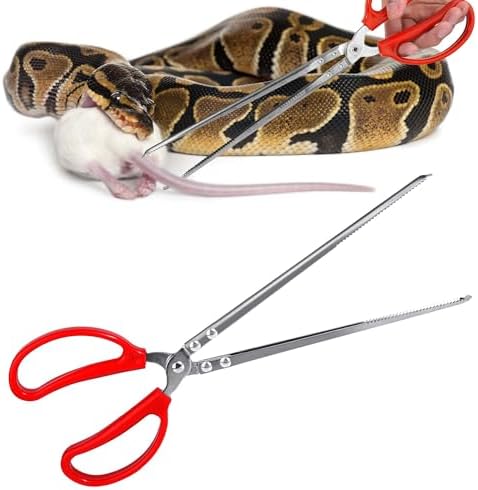 The Complete Guide to Ball Python Ownership and Care: Covering