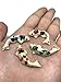 10pc Koi Fish Figurines Animal Painted Ceramic Miniatures Animals Porcelain Ocean collection doll