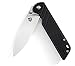QSP Liner Lock Folding Pocket Knife, Dual Thumb Stubs, 440C Sharp Blade, G10 Handle, Reversible Right / Left Pocket Clip, Men's or Women's Gift (Black G10 Handle),QSP Parrot, QS17702BK