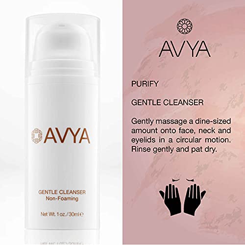 Avya Skincare Ayurvedic Weekend Travel Set 4 Piece Skincare Travel