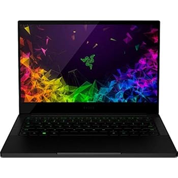 2019 Razer Blade Stealth 13.3