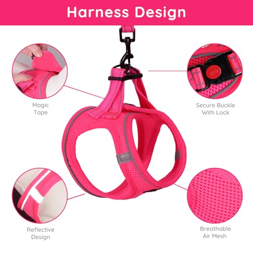 BELLA & PAL Dog Vest Harness for Small Medium Dogs, No Pull Dog Harness for Small Dogs with Leash,Comfortable Air Mesh Dog Harness with Reflective Strip(Hot Pink,XXS)