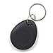 THONSEN 10pcs 125KHz EM4100 RFID Key Fobs(Grey) - Read Only, Not Rewritable Not Programmable