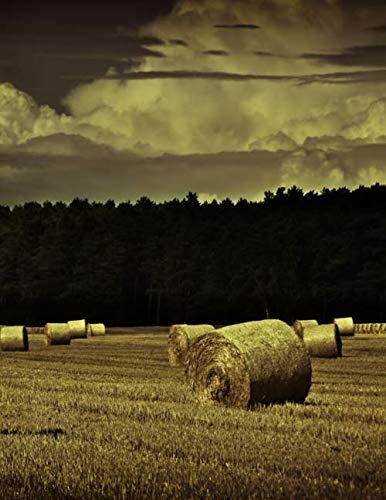 Notebook: Farm Hay Bales Straw ranch agriculture dairy livestock vineyard farmer dairy by Wild Pages Press