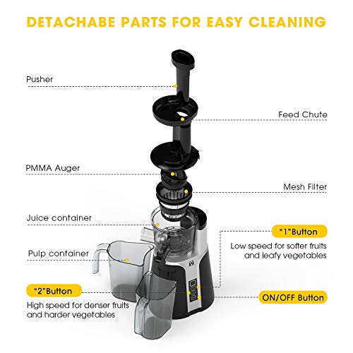 Juicer Machines, Vestaware Slow Masticating Juicer Extractor, Easy to Clean Juicer with Quiet Motor, BPA-Free Cold Press Juicer for Vegetables and Fruits