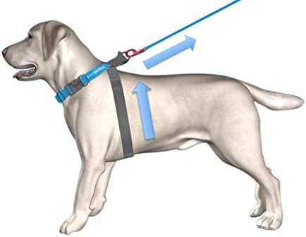 No-Pull Dog Halter Harness, Patented Technology, Safe Dog Leash, Dog Harness by The Original bodycollar, As Seen on TV , Small Red (10-30 lbs)
