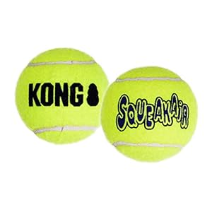 KONG - Toy Premium Squeak Tennis Balls, Gentle on Teeth - For Medium Dogs (6 Pack)
