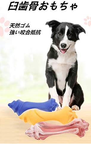 B0ckgc8r 100 品質保証 Diy 工具 ガーデン 新作製品 世界最高品質人気 正規品送料無料 ペット用品新しい咬傷に強い臼歯の骨の犬 の咬合スティックラバーチュー犬のおもちゃ 2パック 2色がランダムに分配されます ビューティー ペット用品 激安超特価 輝く高
