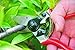 Felco Small & Light Hand Pruner with 0.8-inch Cutting Capacity, 7.25inthumb 4
