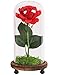 LANGXUN Red Silk Rose with LED Light and Glass Dome for Home Decor Wedding Decorations for Women
